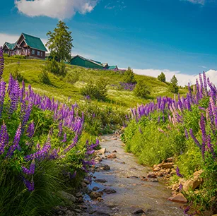 Jammu Kashmir 5 Days Tour By Car